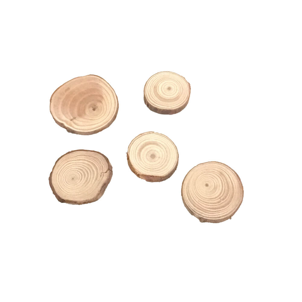 Miniature Rings of Wood - Pk of 5