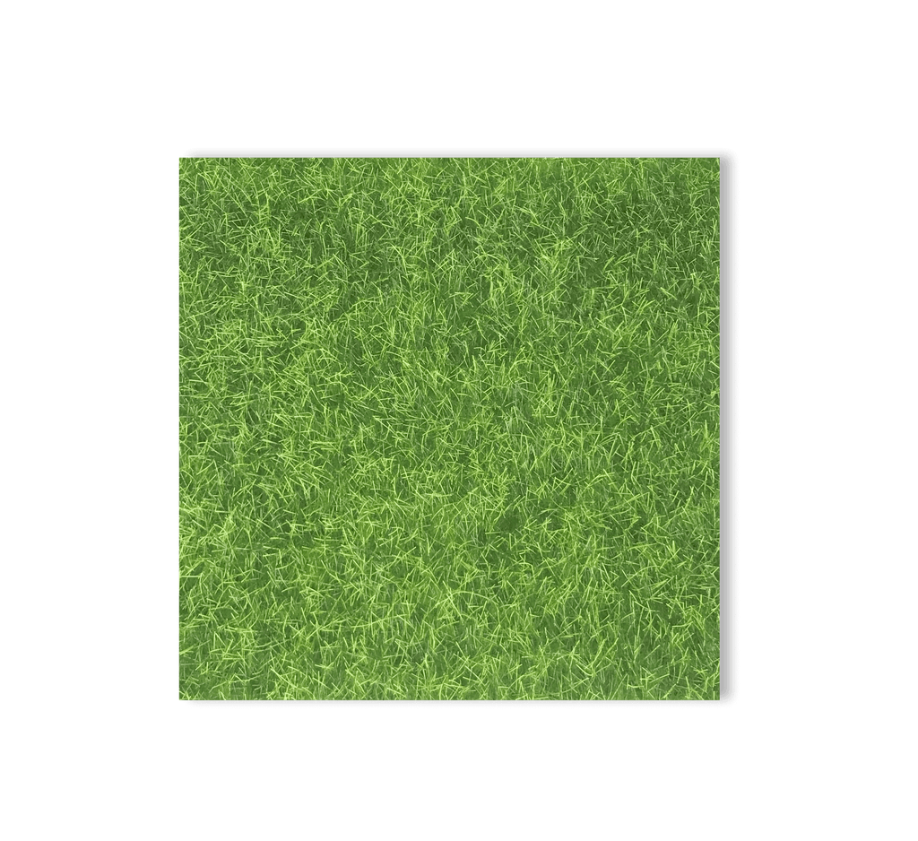 Grass Glade