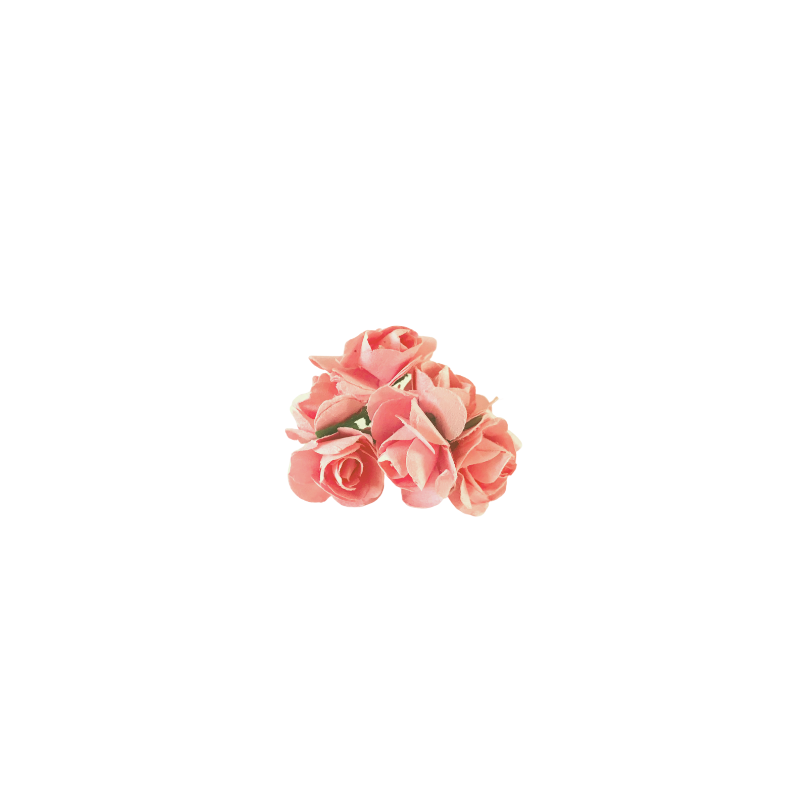 Long Stem Roses - Pink & Coral