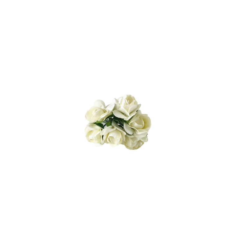 Long Stem Roses | White